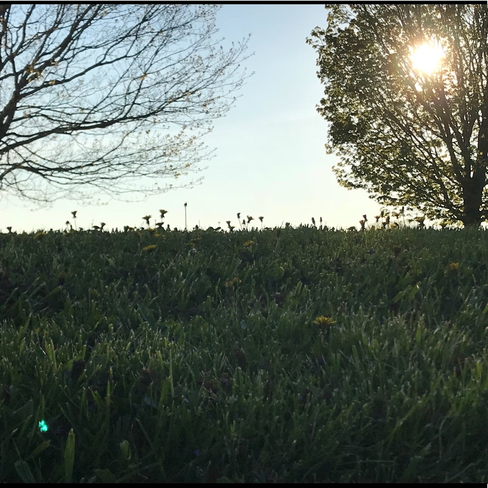 Meet your Posher, Corrinn